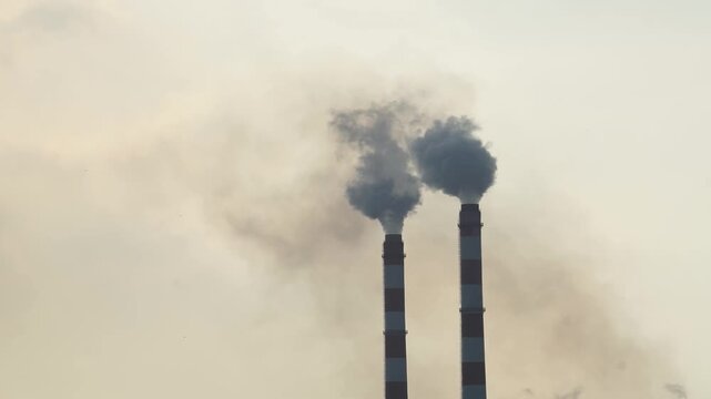 Tall chimneys of the power plant billowing thick smoke