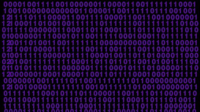 Purple binary code animation cascades across a black background. Encrypted computer programming streams in purple binary code. Cyber security matrix data processing runs on binary code.