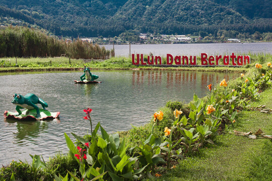 Frog sculptures in a garden pond with misty mountains behind, Bedugul, Bali, Indonesia. Translation: Ulun Danu Beratan means Temple on the Shore of Lake Beratan