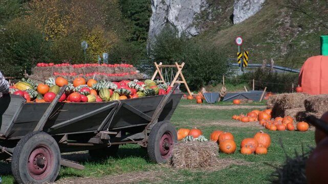 Pumpkin cart and father with child