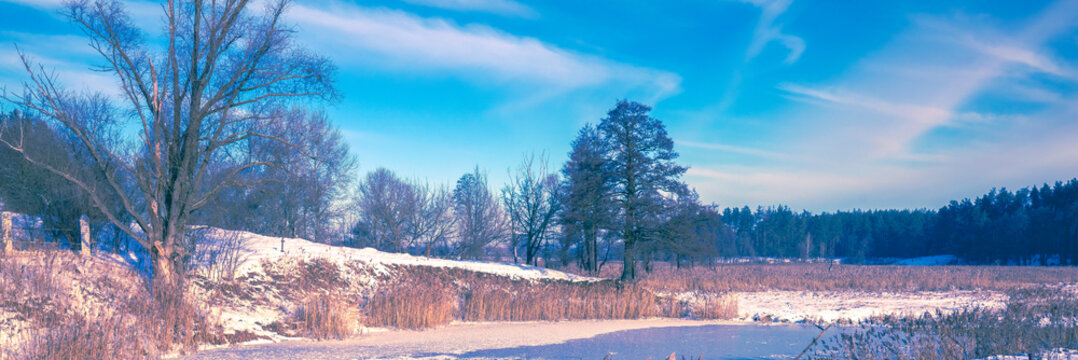 Winter landscape. Banks of a frozen river with reeds and trees