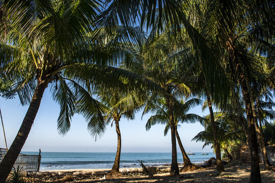 View of Saint Martins Island with palm trees lining the sandy beach under a clear blue sky in Cox's Bazar District, Chittagong Division, Bangladesh.