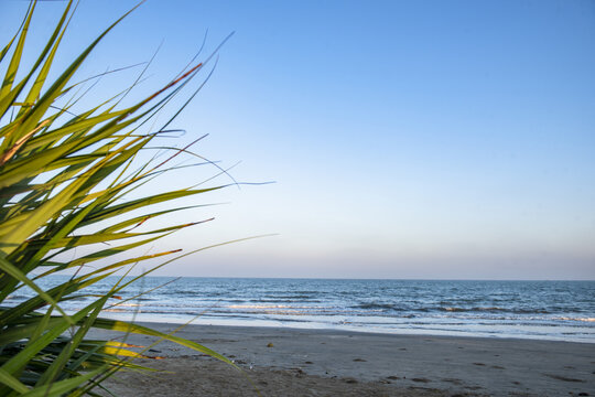 View of Saint Martins Island beach with tall green grass in the foreground, calm ocean waves, and a clear blue sky in Cox's Bazar District, Chittagong Division, Bangladesh.