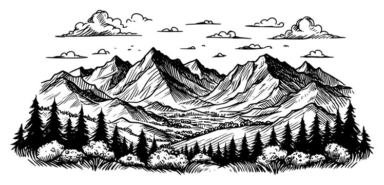 Mountain range panorama with pine forest and clouds in detailed retro engraving