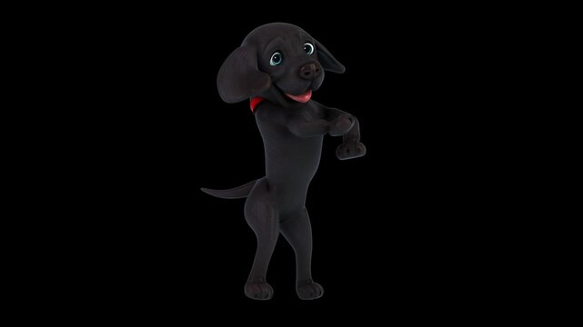 Fun 3D cartoon labrador doing a fit dance (with alpha channel)
