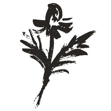 Grunge charcoal ink autumn summer abstract cut out field or garden camomile flower for scrapbook collage design. Hand drawn wax crayon herb sticker. Vector isolated illustration silhouette or shadow.
