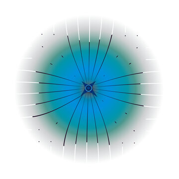 Layout  Bl&uuml;te