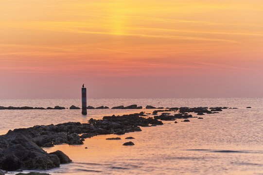 View of a cormorant perched on a marker pole amidst a rocky breakwater in the calm sea during a vibrant sunset in Lido di Dante, Emilia-Romagna, Italy.