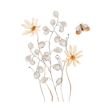 Watercolor Botanical Arrangement Pale Daisies, Dried Lunaria Seed Pods and Moth on White Background. Composition with hand painted illustration warm toned daisy flowers. For autumn design, cards.