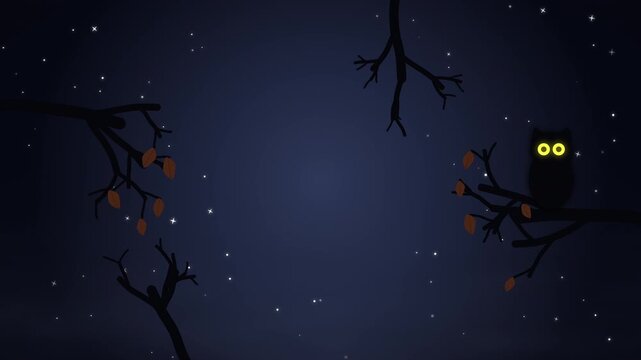 Halloween Bare Branches and Moonlight Title Background with Owl