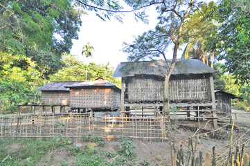 Landscape and villages on Majuli (also spelled Majoli)  the largest river island in Assam and the world's largest inland river island, a state in Northeast India.  © robnaw
