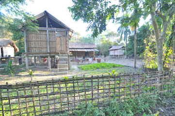 Landscape and villages on Majuli (also spelled Majoli)  the largest river island in Assam and the world's largest inland river island, a state in Northeast India.  © robnaw