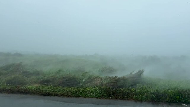 Powerful Hurricane Winds Sweep Across Coast During Eyewall