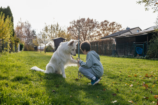 Boy training white swiss shepherd dog outdoors