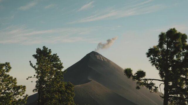 Dramatic wide angle shot of Fuego volcano erupting, seen from Acatenango trail in Guatemala, with pine trees in foreground, clear blue sky, and morning sunlight highlighting the volcanic smoke plume.