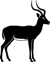 Obraz premium Antelope standing in profile with long curved horns