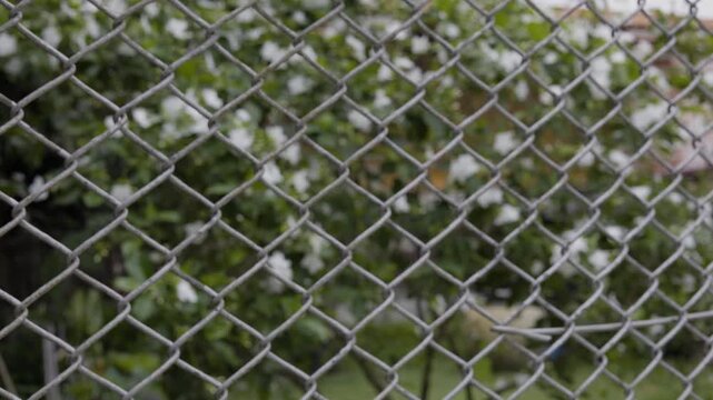 Chain Link Fence With Green Leaves Background