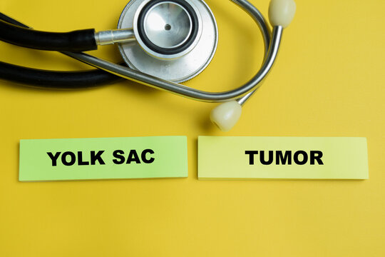 Concept of yolk sac tumor write on sticky notes isolated on table. For scientific term or medical name endodermal sinus tumor