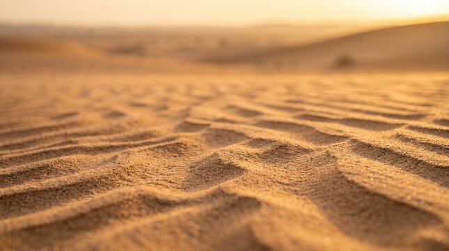 Golden hour sunset light over sand dunes ripples texture in the desert