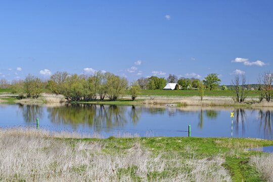 A river flows quietly through a green landscape under a blue sky, Elbe, Drethem, Elbuferstra&szlig;e, Wendland, Lower Saxony, Germany