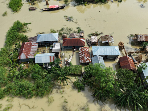 Kushtia, Khulna Division, Bangladesh - 13 September 2026: Aerial view of flooded rural houses with corrugated metal roofs surrounded by murky floodwaters and lush vegetation.
