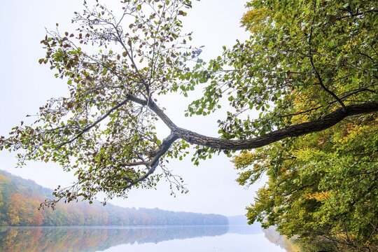 Autumn at Schmale Luzin, lake in Mecklenburg-Western Pomerania, Feldberg Lake District, Mecklenburg-Western Pomerania, Germany