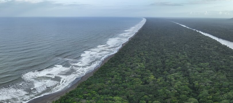 Aerial view, beach and sea, coast with rainforest, Tortuguero National Park, Costa Rica