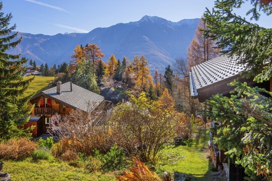 Autumn landscape with chalets and B&auml;ttlihorn 2951m, Riederalp, Goms, Rhone valley, Upper Valais, Valais, Switzerland