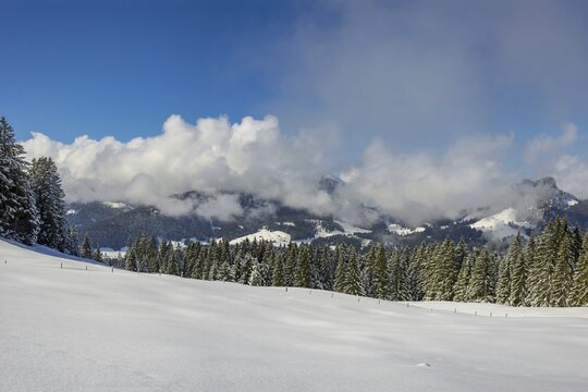Panorama High Trail, Kleinwalsertal, Allg&auml;u Alps, Vorarlberg, Austria