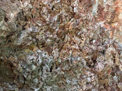 Rough and weathered rock surface revealing a close up of natural erosion, intricate textures, and earthy color variations, providing a detailed geological background