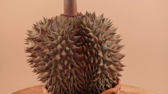 Fresh durian meat, creamy and sweet.