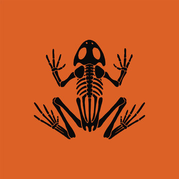 Frog skeleton silhouette is displayed in black against a solid orange background.