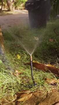 Vertical video. Automatic Sprinkler Waters a Shaded Tropical Garden while Sunlight Forms a Rainbow in the Mist, Slow Motion Garden Care