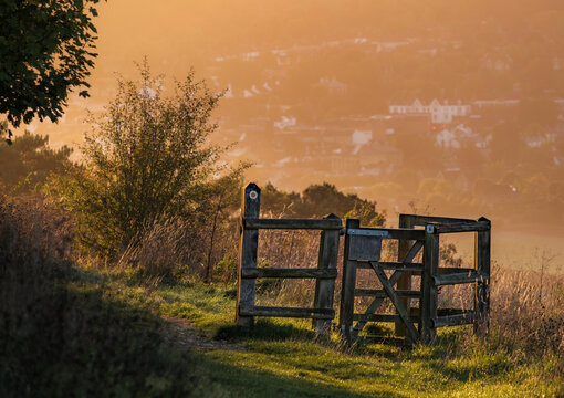 Farm Stye Gate in the Surrey Hills