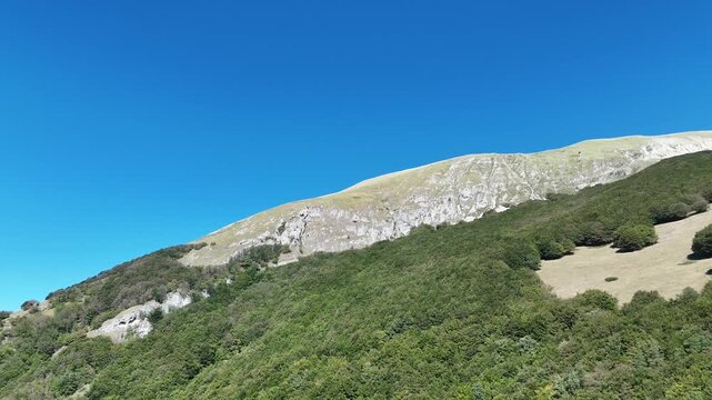 Paesaggio montano con cresta rocciosa e fitta vegetazione sotto un cielo blu limpido