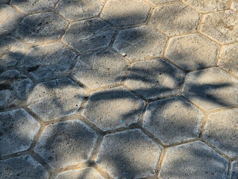Tree shadow cast on hexagonal concrete paving blocks pattern outdoor