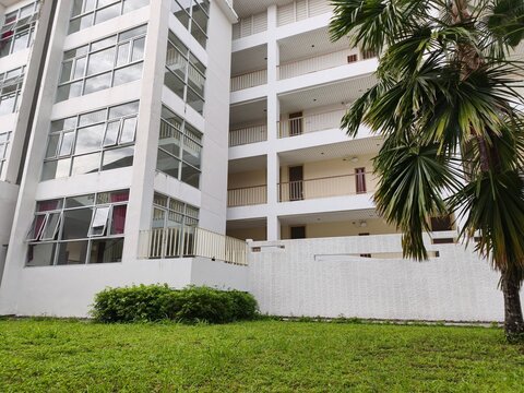 Modern white apartment building exterior facade with glass windows, balconies, green lawn, and tropical palm tree