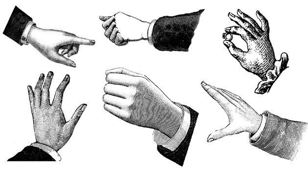 Vintage hand drawn hands gesture collection showing pointing, waving, reaching, and expressive poses. Detailed black and white illustrations isolated for posters, tattoos, editorial, and design.