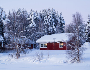Obraz premium Traditional red finnish cabin in snowy winter forest with glowing window reflections