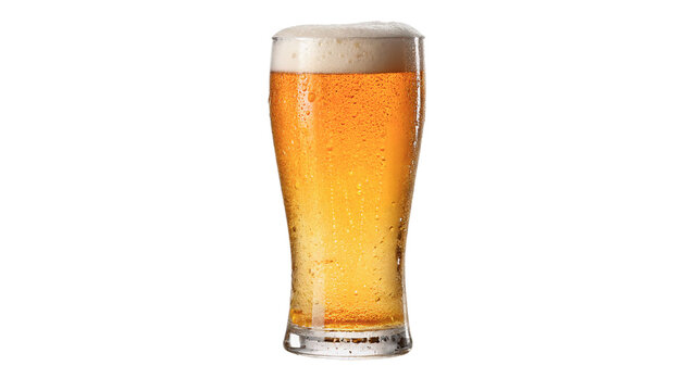Glass goblet filled with cold refreshing gold lager beer isolated on transparent background.