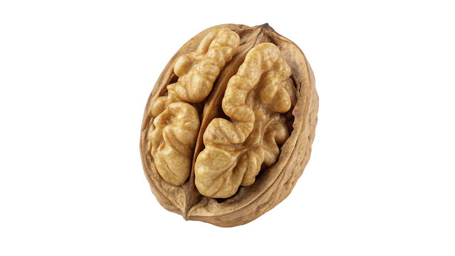 Whole natural raw walnut nut in shell isolated on transparent background.