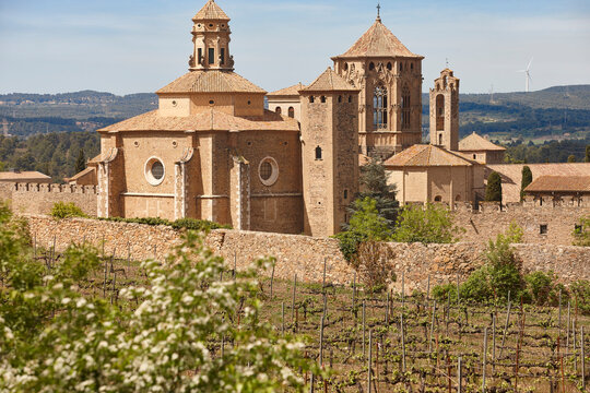 Famous Cistercian monastery and vineyards in Poblet. Tarragona, Catalonia. Spain