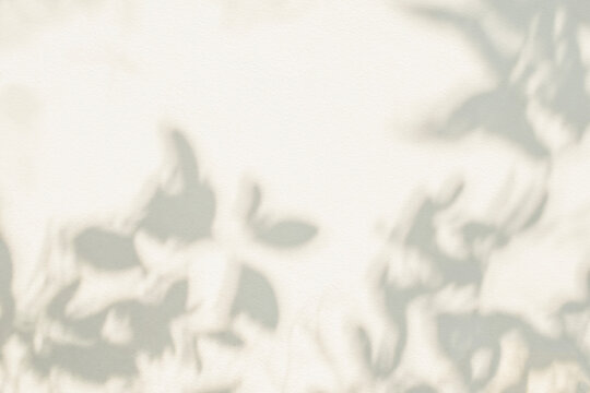 Leaf shadow and light grey blur background. Nature tropical leaves plant tree branch shade sunshine on wall. Sunlight on white texture for background wallpaper, shadows overlay effect foliage mockup