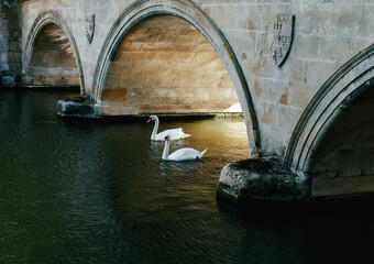 Historic Stone Bridge Swans River Archway © Kos6ka