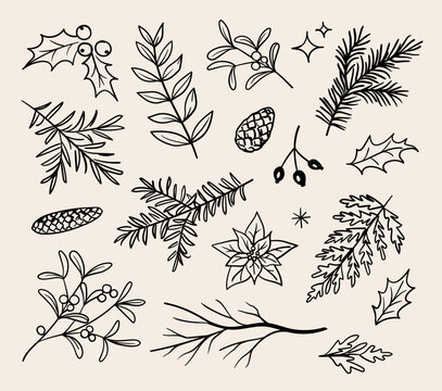 Vector set of hand drawn christmas themed illustrations of branches, leaves, pine cones, mistletoe, holly