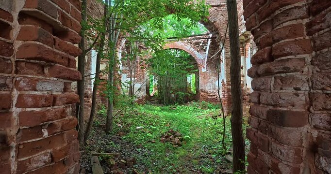 Ruins of a temple. Trees growing among the ruins of a church.