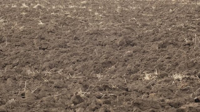 Freshly plowed soil field under light rain, agricultural land texture and ground close up, slow horizontal camera panning left