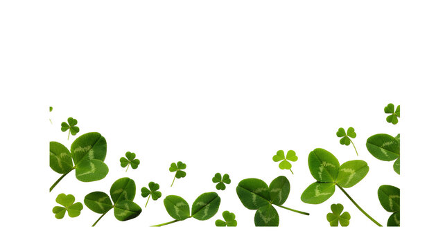 Lucky green four leaf clover shamrock frame border isolated on white background