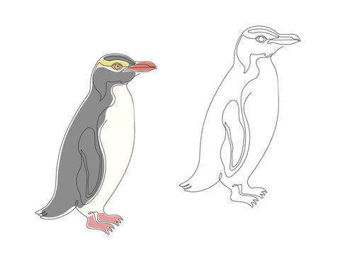 Continuous one line drawing of rare New Zealand yellow eyed penguin hoiho for marine wildlife conservation or eco tourism concept