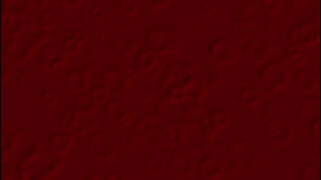 Textured background animation displays embossed circular red bubbles. Tactile tactile fluid marble patterns shift on the red background. Moody dramatic surface depth defines the textured background.